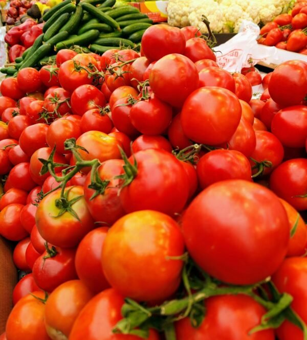 guy-gross-9M4alO3sHEk-unsplash