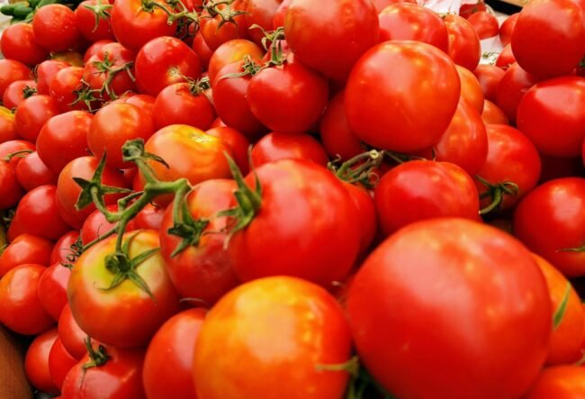 guy-gross-9M4alO3sHEk-unsplash guy-gross-9M4alO3sHEk-unsplash