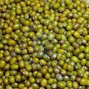 green-moong-dal-1768971497-8545885